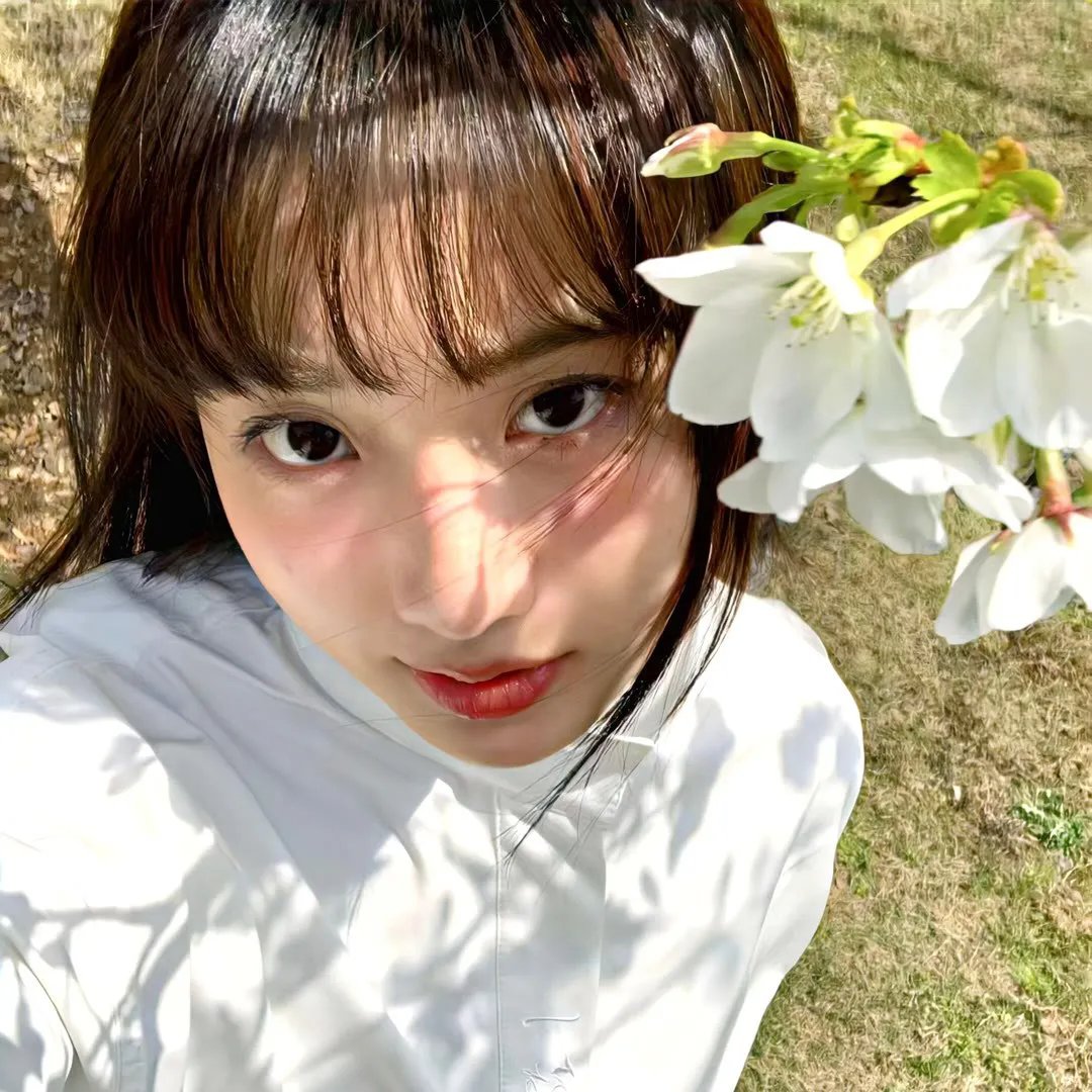 彩虹族
